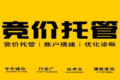 关键词竞价排名策略：成功企业的案例分析